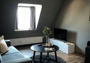 Apartment Pureney- Stadtmitte- Whg. 5