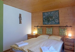 Apartment Schweizerhof in Wengen - 4 persons, 1 bedrooms