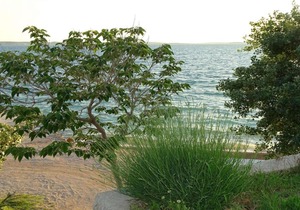 Apartment Seaview, Rtina