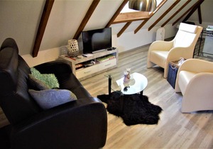 Apartment, shower, toilet, 1 bed room