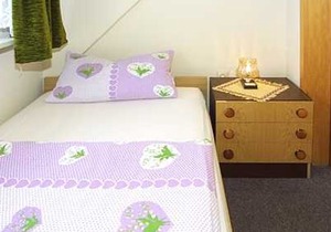 Apartment small - Ferienhaus Zur Schmiede