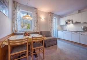 Apartment “Treyer 7 Typ A” with Mountain View, Wi-Fi, Balcony & Garden