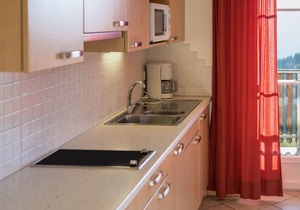 Apartment “Treyer 6 Typ B” with Mountain View, Wi-Fi, Balcony & Garden