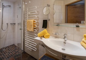 Apartment type B - Berghaus Koglmoos