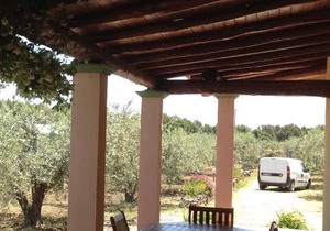 APARTMENT VILLA DEGLI ULIVI AND ROSE 300m FROM THE SEA, MARINA DI OROSEI