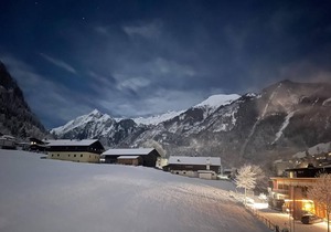 Apartment with 2 bedrooms - Wälderhof, apartments