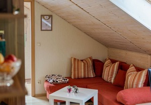 Apartment with forest in Goldisthal Thuringia