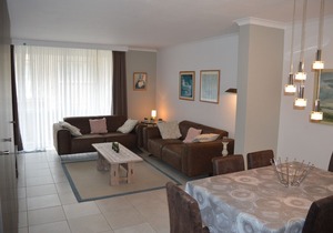 Apartment with sunny terrace