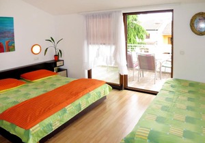Apartment Zinka - ROJ132 by Interhome