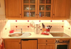 Apartment Zwerchenberg - one-room apartment 26m² with balcony and morning sun