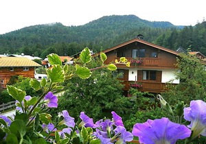 Apartment Zwerchenberg - one-room apartment 26m² with balcony and morning sun