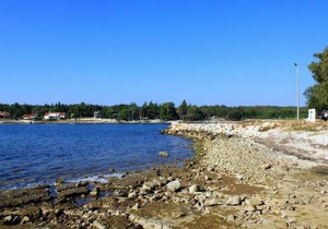 Apartments by the sea Sveti Ivan, Umag - 7002