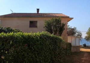 Apartments by the sea Sveti Ivan, Umag - 9692