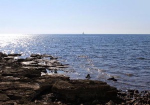 Apartments by the sea Sveti Ivan, Umag - 9692