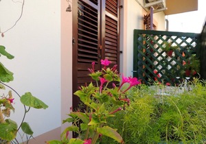 Apartments Ivanka, (15402), Pag, Croatia