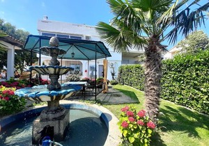 Apartments Nada