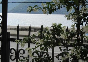 Apartments Risan