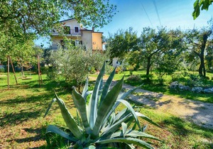Apartments with pool Albina /Apartment with pool Albina 1P