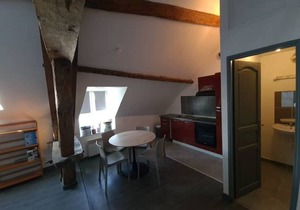Appart' 6 sur la route des châteaux - Bgcy-3