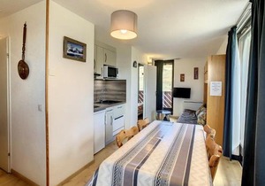 Appartement lumineux 2 pièces avec balcons et animaux admis à La Toussuire - FR-1-417-123