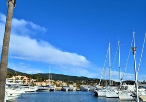 Appartement Moderne 2P, Jardin, Terrasse, Proche Plage et Commerces - Cavalaire - FR-1-226B-338