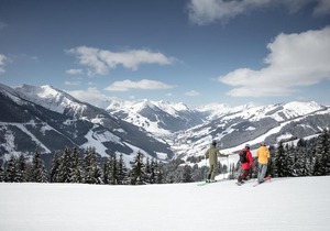 Appartements Alpin