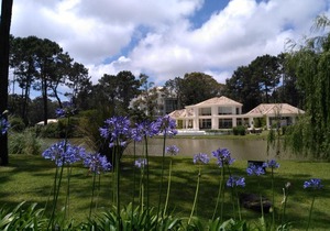 Aptos. Green Park