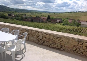 Au Pied des Vignes - Maison au Coeur du Vignoble