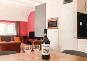 Awesome home in Ommen with sauna