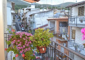 B&B JOLLY HOUSE BOLOGNETTA