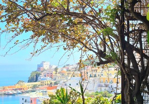 b&b La Limonaia a mare 04