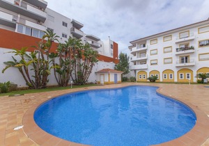 B41 - Windmill Modern with Pool