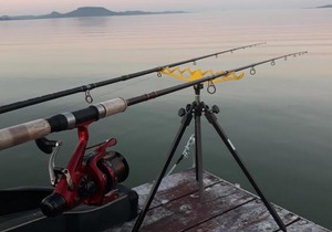 balaton 21