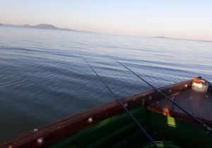 balaton 21