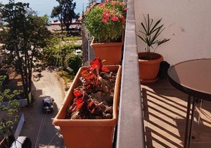 Batumi Apartment