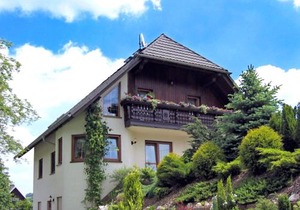 Beautiful Apartment in P hla Saxony near Ski Area