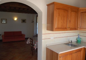 Beautiful apartment with pool, WIFI, TV, patio, pets allowed and parking, close to San Gimignano