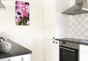 Beautiful home in Wolphaartsdijk