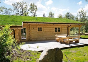 Beautiful luxury log cabin. Two private terrasses. Open fireplace. Pet friendly