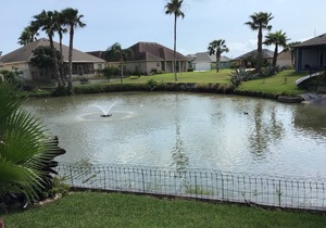 Beautiful View of the Pond~13AD