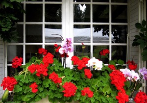 BED AND BREAKFAST NEAR LIMOGES