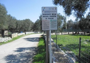 Bilocale jasmin