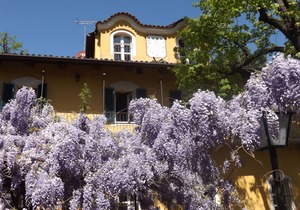 Blue room at Villa Mirano Bed and BreakFast Piossasco - Turin - Piedmont