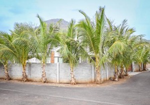 Bois Mapou Self Catering Apartments Unit 101