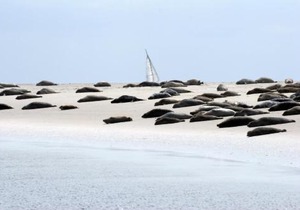 BORKUMUNTERKUNFT - WOH1 - IM HERZEN DER INSEL