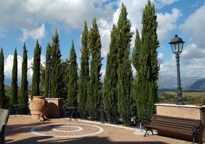 Bosco D'Olmi Country House