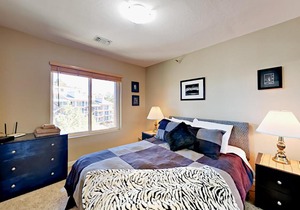 Boulder Condo S