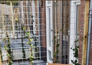 Boutique Resort Schaardijk 02 with terrace!
