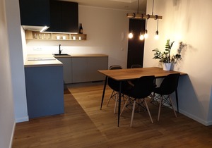 Brand new modern apartment in Tallinn, Telliskivi