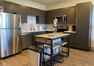 Brand New Condo F.S. 1/1 in Carrollton